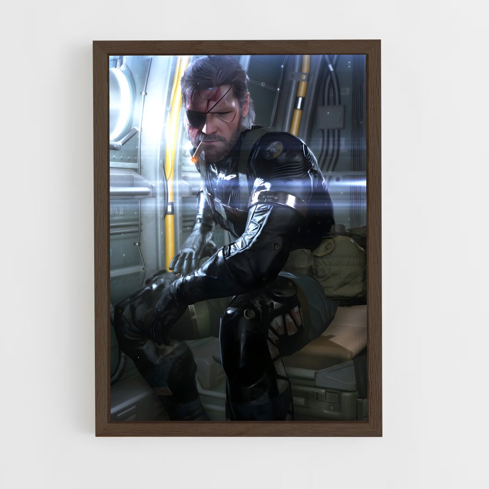 Poster Metal Gear Solidarity (vue 5)